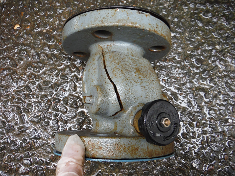 DSCF7886s.jpg