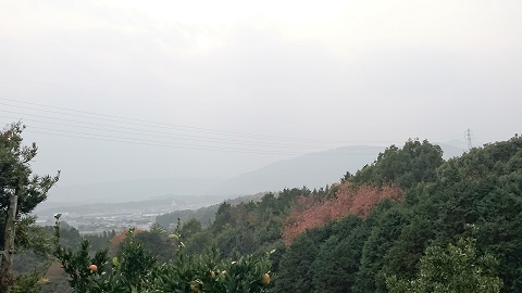 DSC_0207s.jpg