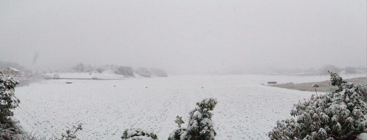 雪だよ雪.jpg