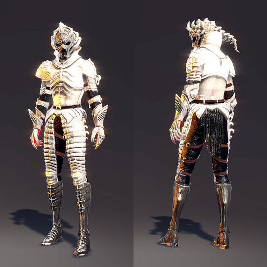 Lv.80スケルトンライトセットs.jpg