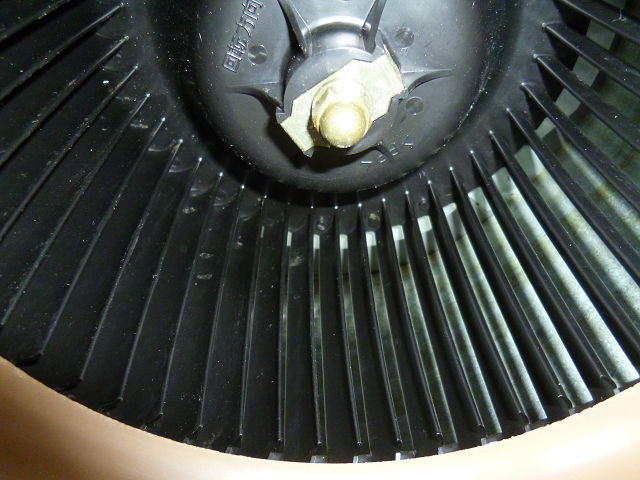 P1100202s.jpg