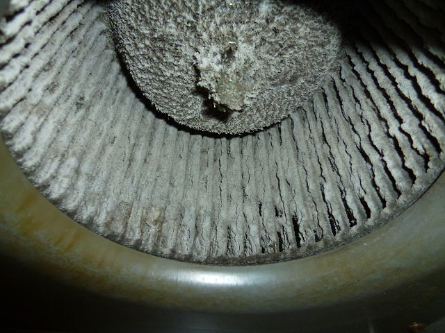 P1110218s.jpg