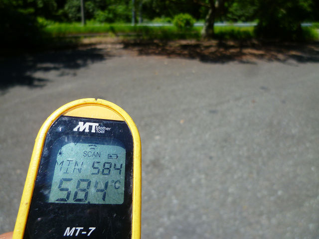 P1180609s.jpg