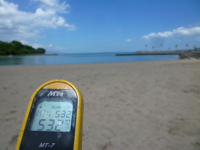 P1180658s.jpg