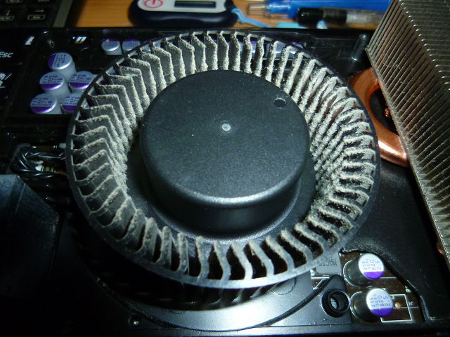 P1200776s.jpg