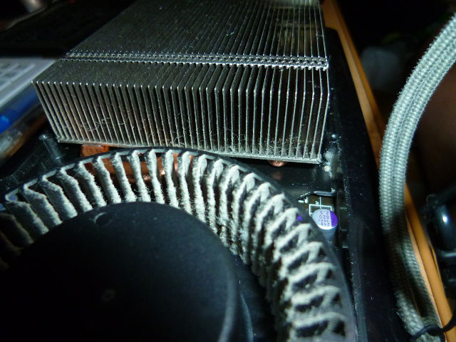 P1200777s.jpg
