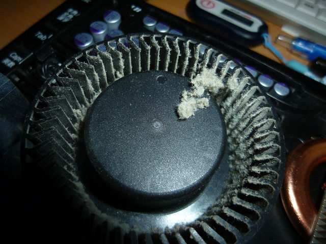 P1200778s.jpg
