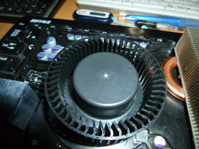 P1200781s.jpg